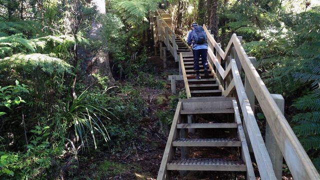 People on the Hakarimata Walkway