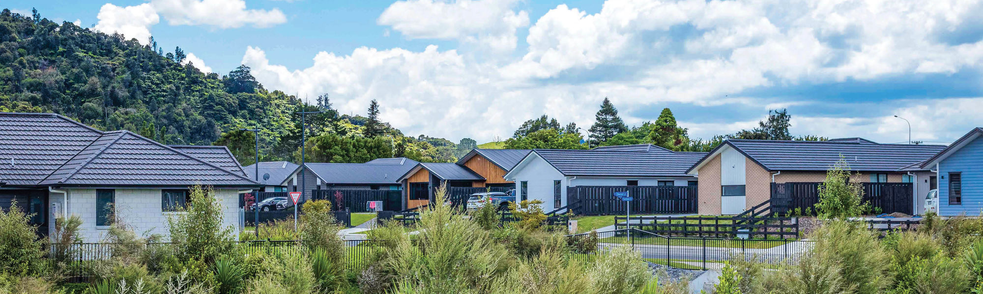 Development of Taupiri estates